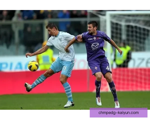 乌迪内斯数据分析揭示：球队表现亮眼，潜力与挑战并存