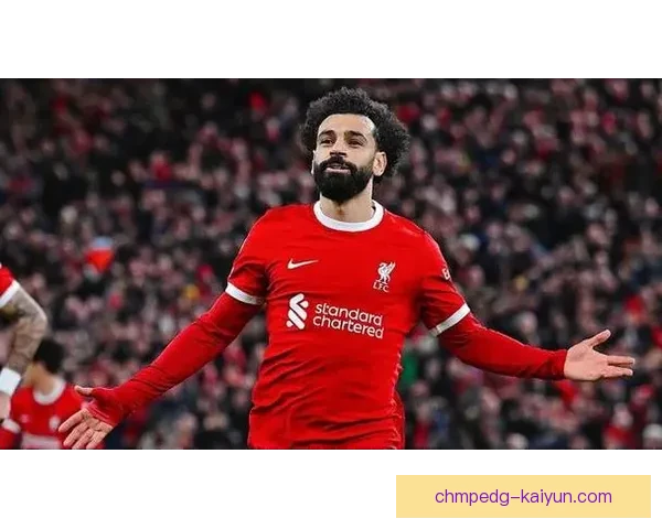 英超蓝月近期表现稳健，竞争力持续提升